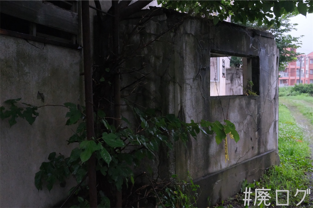 f:id:hiyapa:20230829120547j:image