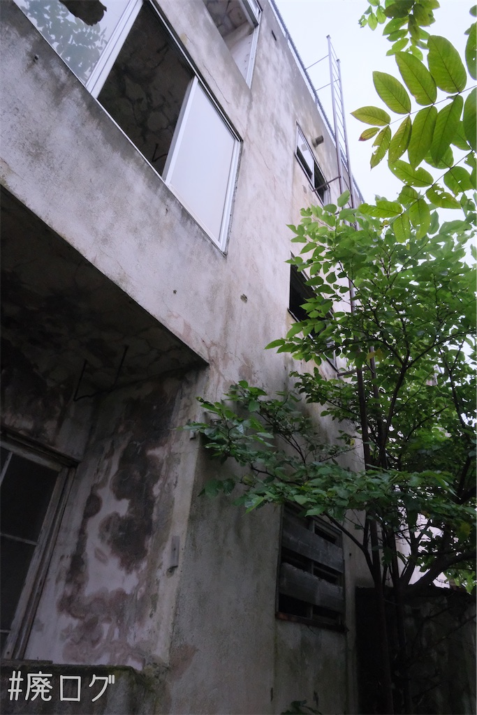 f:id:hiyapa:20230829120551j:image