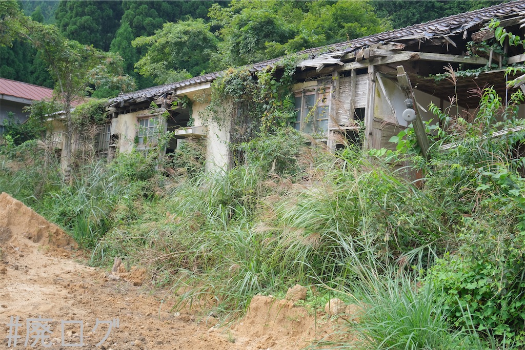 f:id:hiyapa:20231010083301j:image