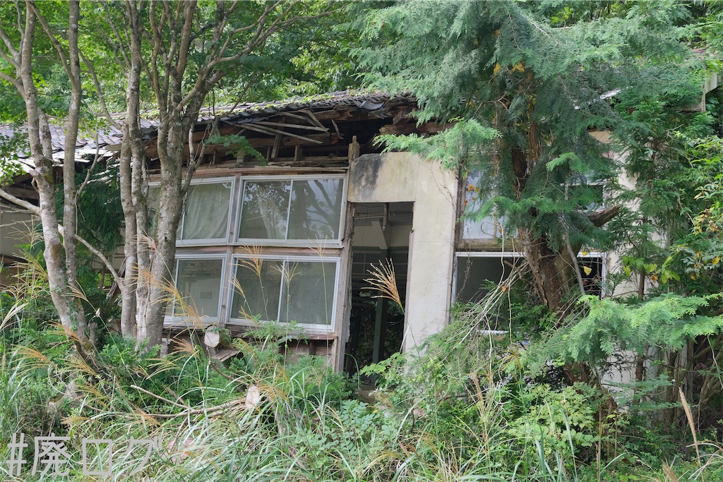 f:id:hiyapa:20231010083311j:image