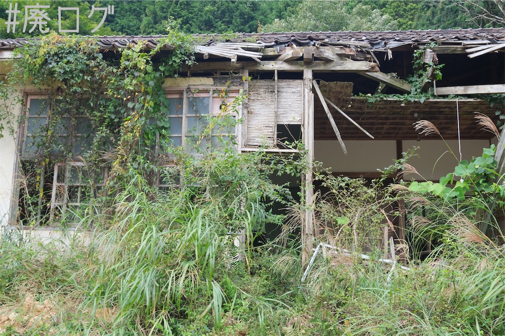 f:id:hiyapa:20231010083316j:image