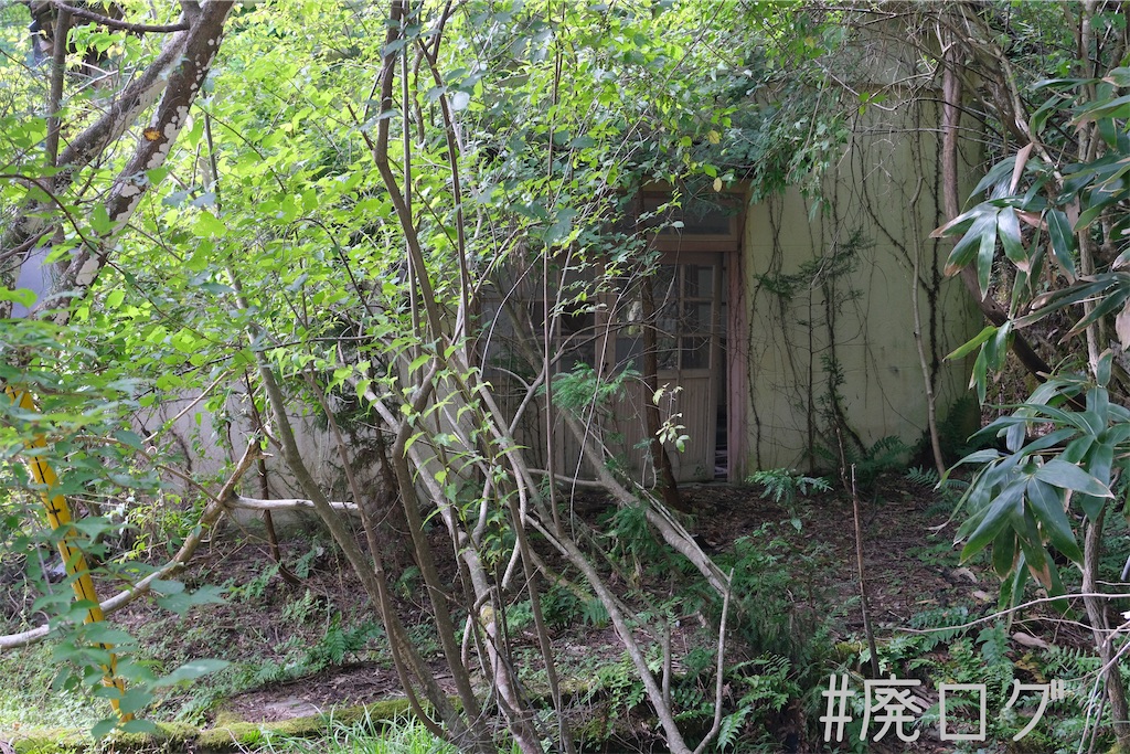 f:id:hiyapa:20231010083335j:image