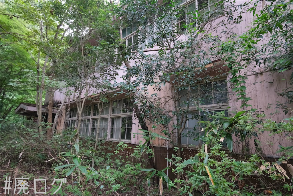 f:id:hiyapa:20231011084256j:image