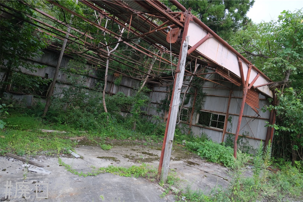 f:id:hiyapa:20231011084302j:image