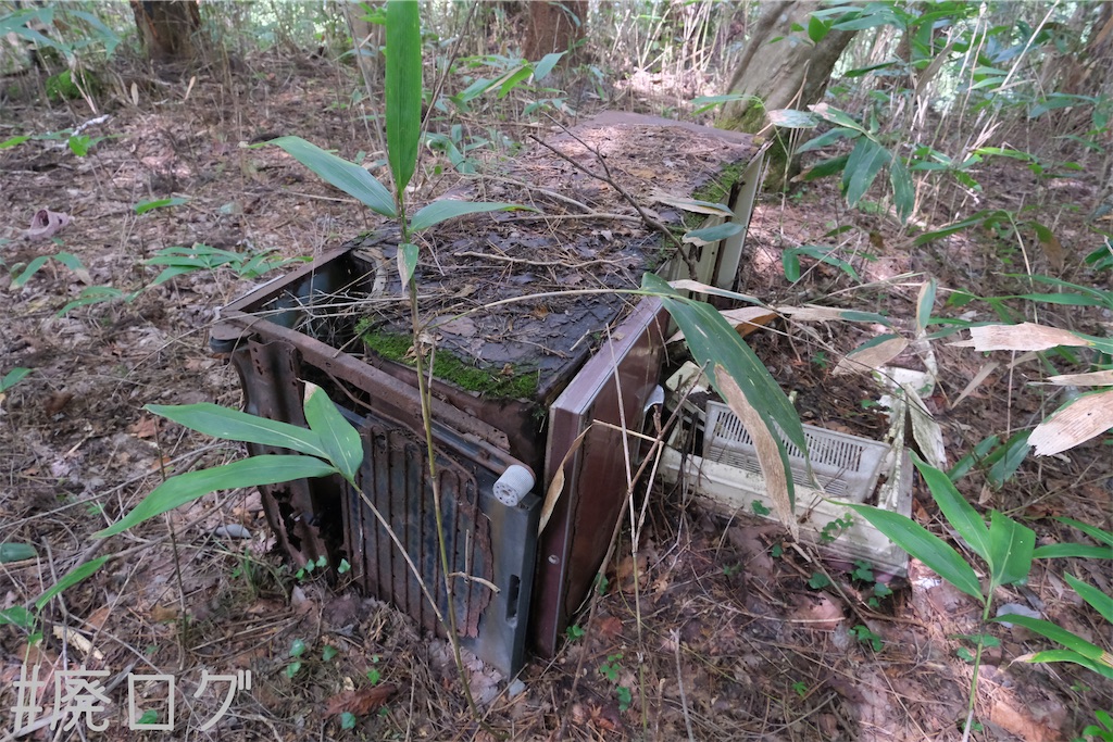 f:id:hiyapa:20231011084306j:image