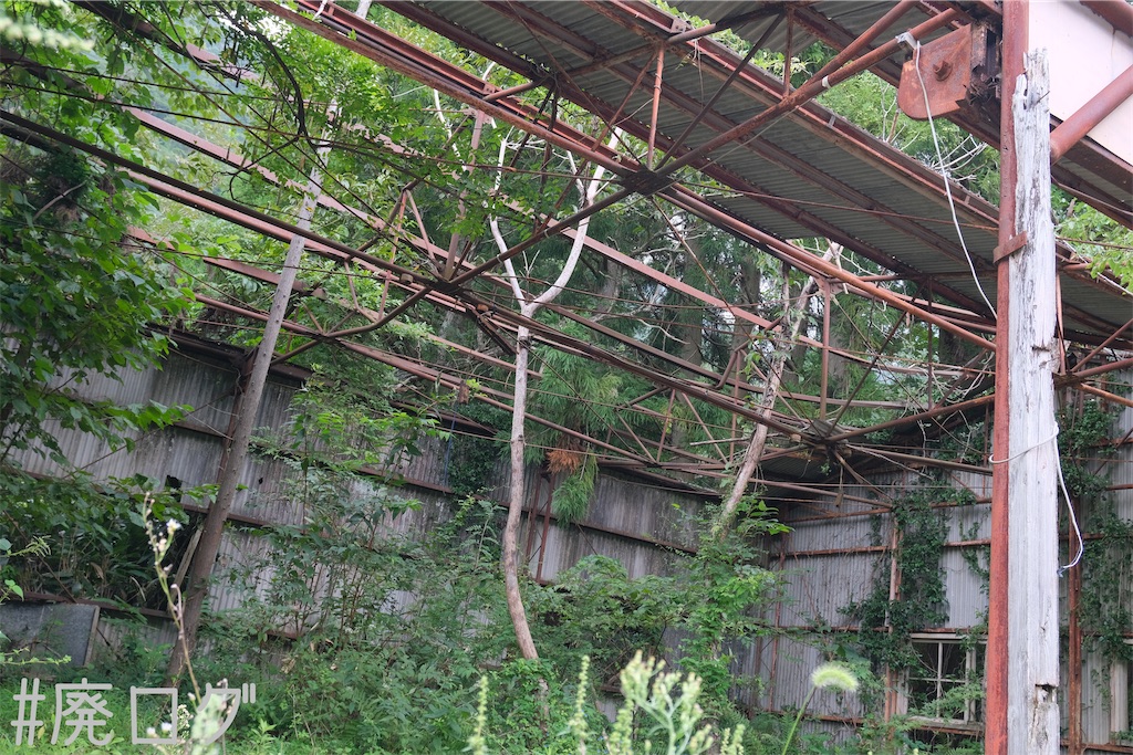 f:id:hiyapa:20231011084318j:image