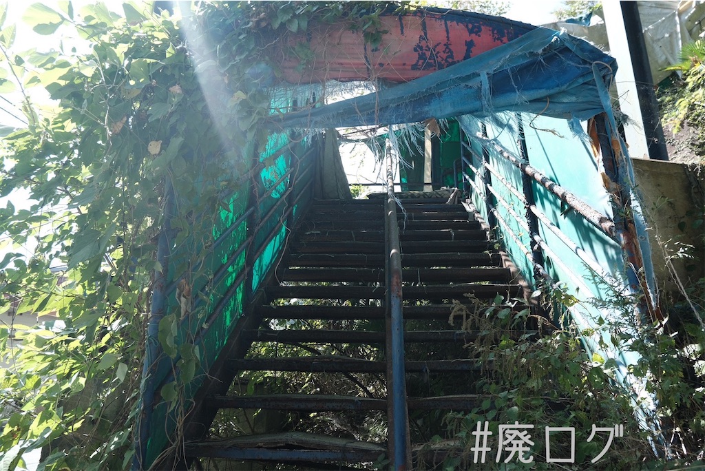 f:id:hiyapa:20231020083601j:image