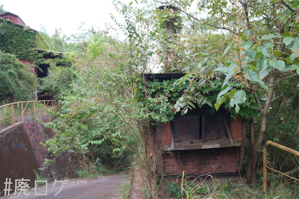 f:id:hiyapa:20231028193833j:image