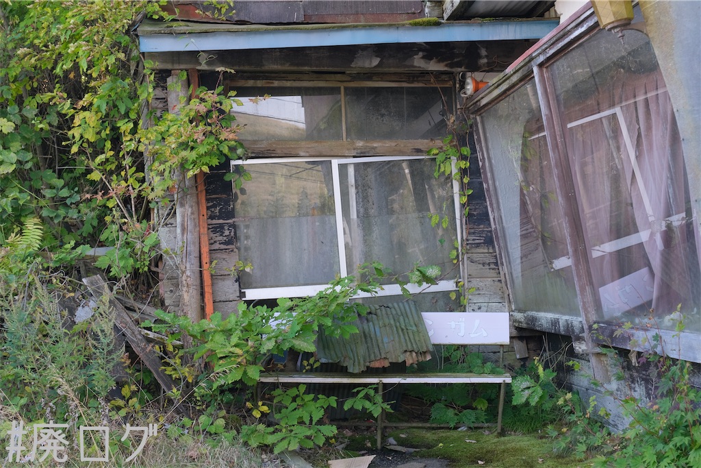 f:id:hiyapa:20231106140316j:image f:id:hiyapa:20231106140316j:image