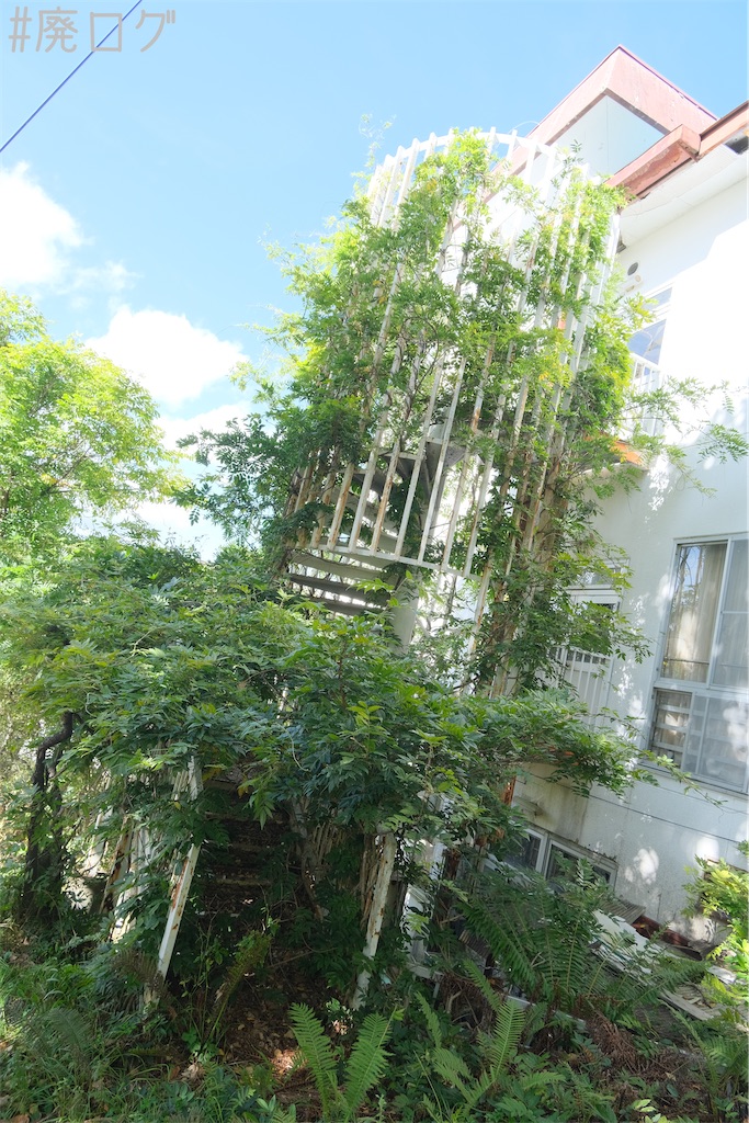 f:id:hiyapa:20231107214041j:image f:id:hiyapa:20231107214041j:image