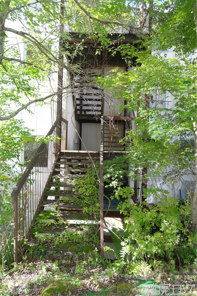 f:id:hiyapa:20231107214103j:image f:id:hiyapa:20231107214103j:image