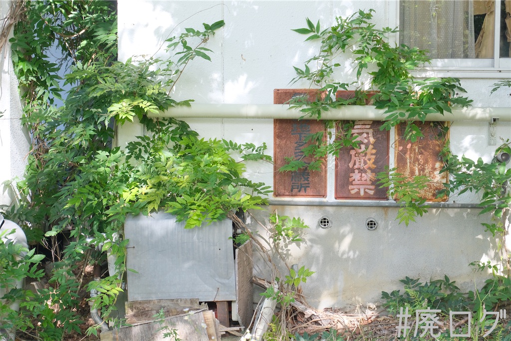 f:id:hiyapa:20231107214108j:image f:id:hiyapa:20231107214108j:image