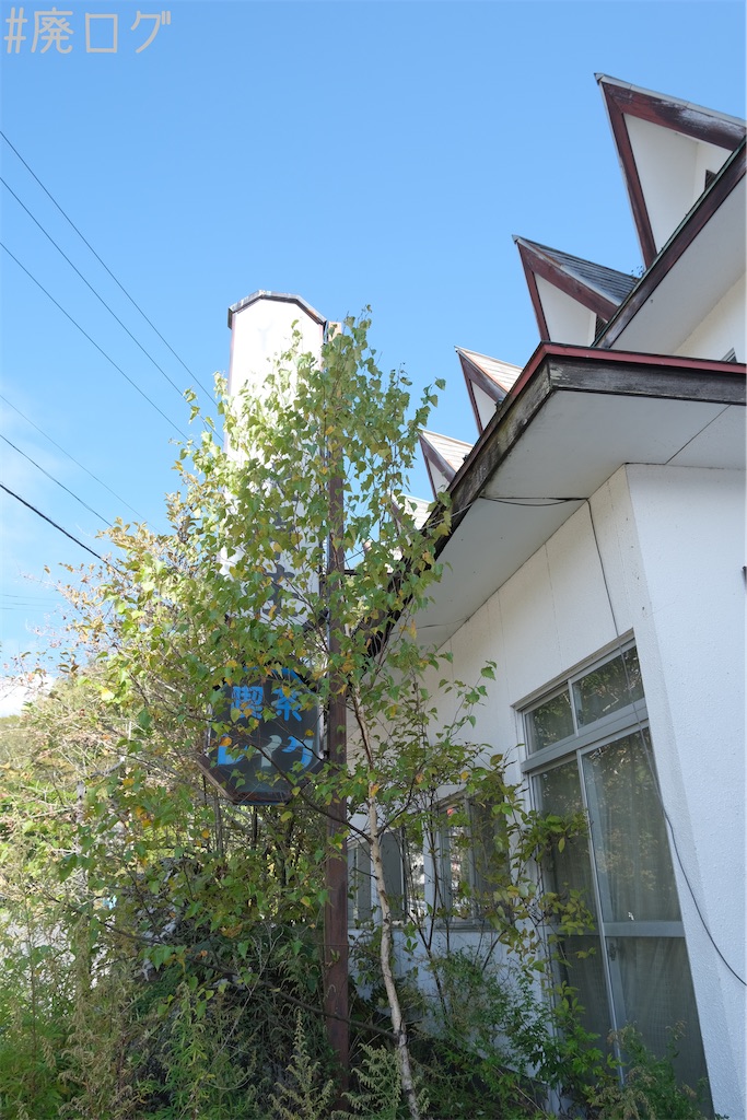 f:id:hiyapa:20231107214117j:image f:id:hiyapa:20231107214117j:image