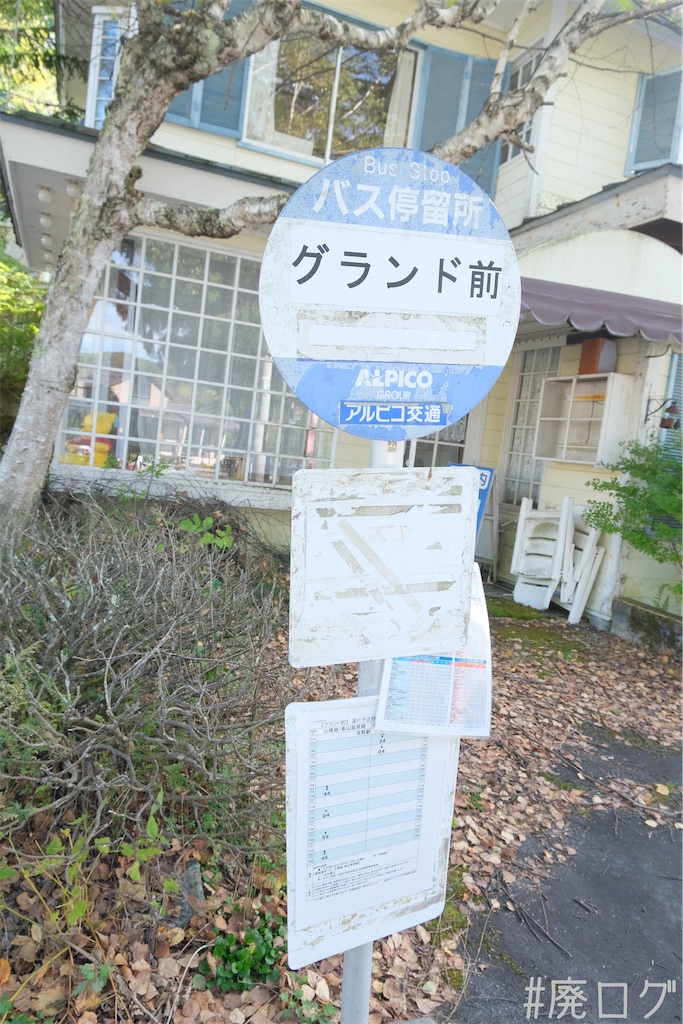 f:id:hiyapa:20231108134227j:image f:id:hiyapa:20231108134227j:image