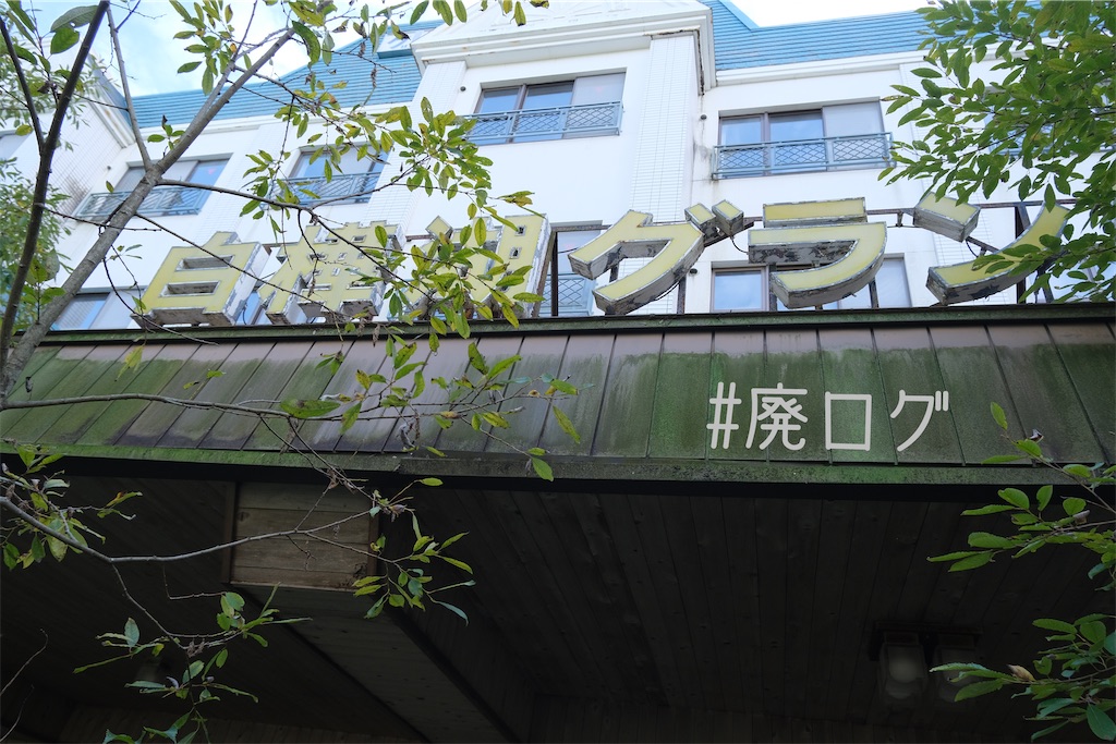 f:id:hiyapa:20231108134231j:image f:id:hiyapa:20231108134231j:image