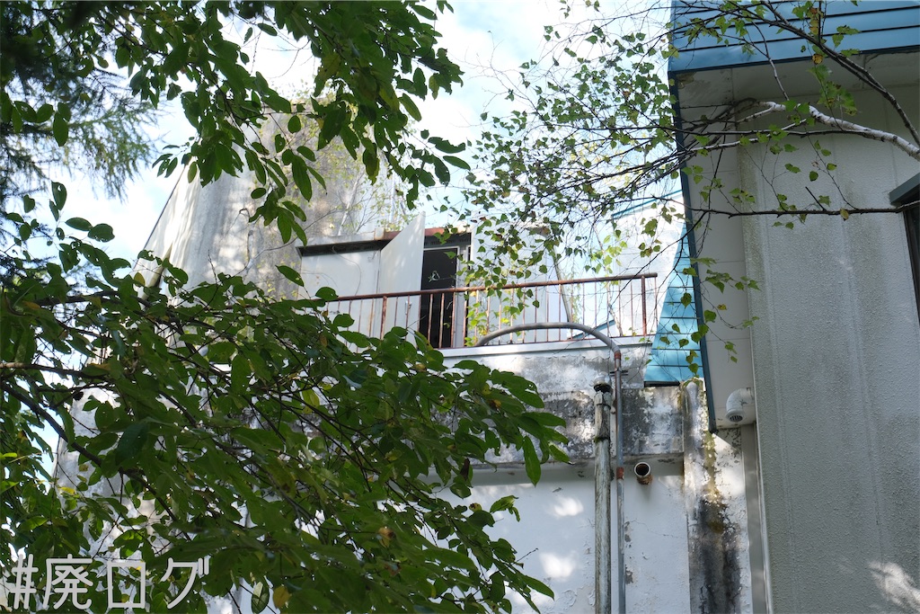 f:id:hiyapa:20231109134848j:image f:id:hiyapa:20231109134848j:image