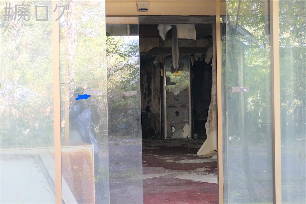 f:id:hiyapa:20231109135452j:image f:id:hiyapa:20231109135452j:image