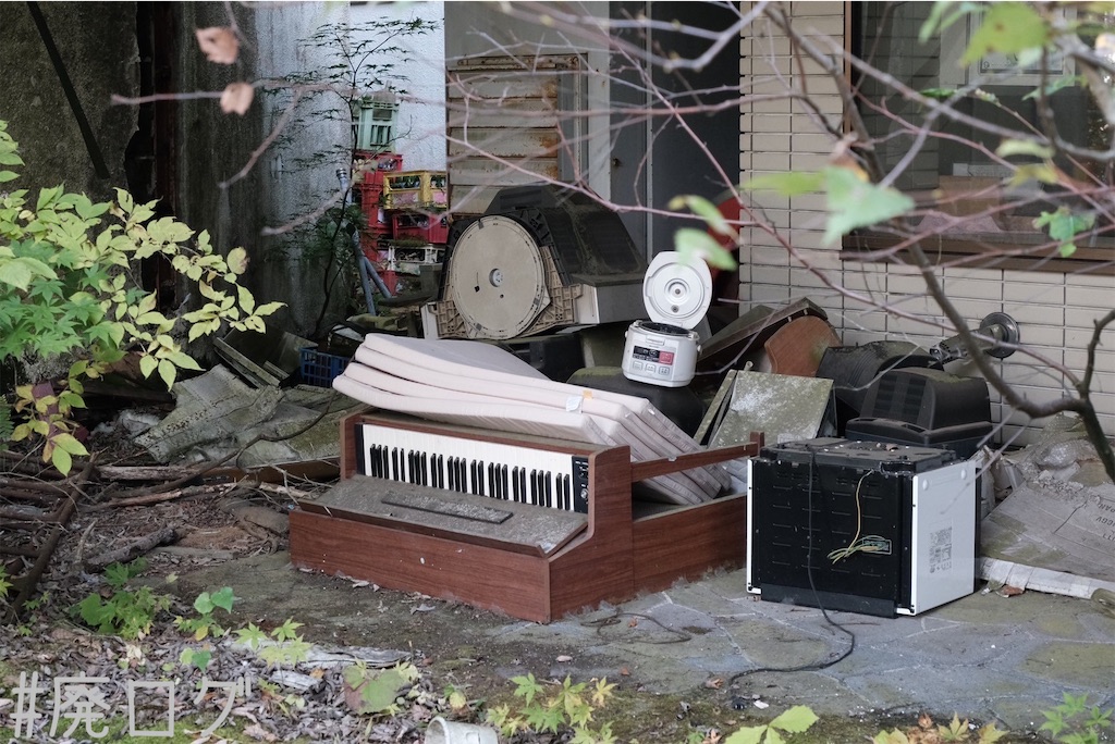 f:id:hiyapa:20231109135511j:image f:id:hiyapa:20231109135511j:image