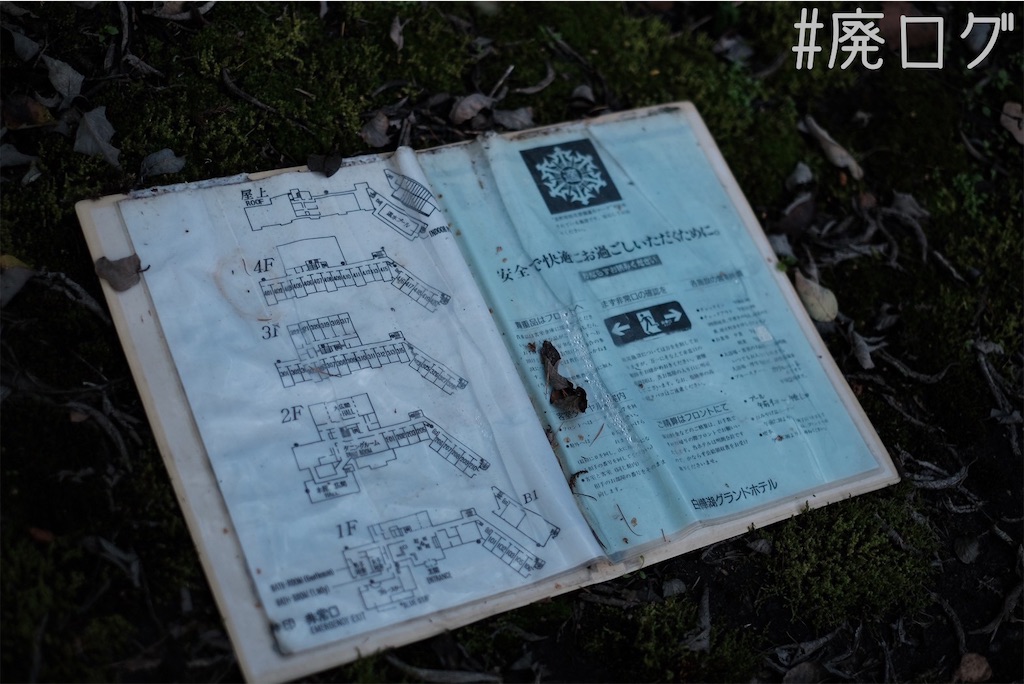 f:id:hiyapa:20231109135520j:image f:id:hiyapa:20231109135520j:image