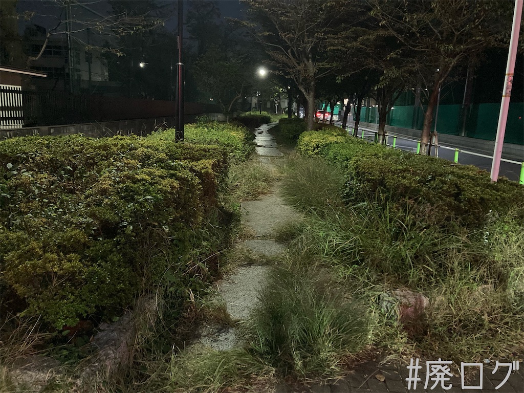 f:id:hiyapa:20231128091023j:image
