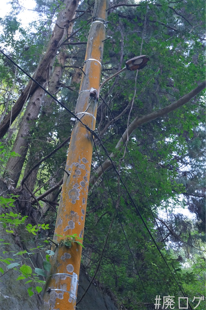 f:id:hiyapa:20240103194325j:image