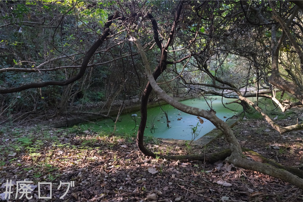 f:id:hiyapa:20240103194330j:image