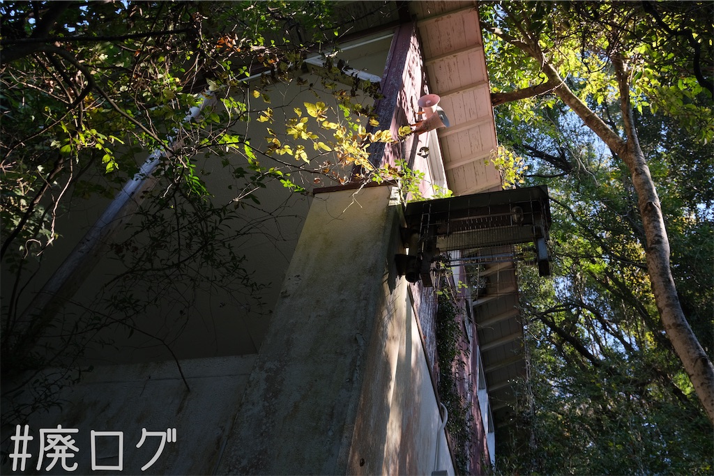 f:id:hiyapa:20240103194345j:image