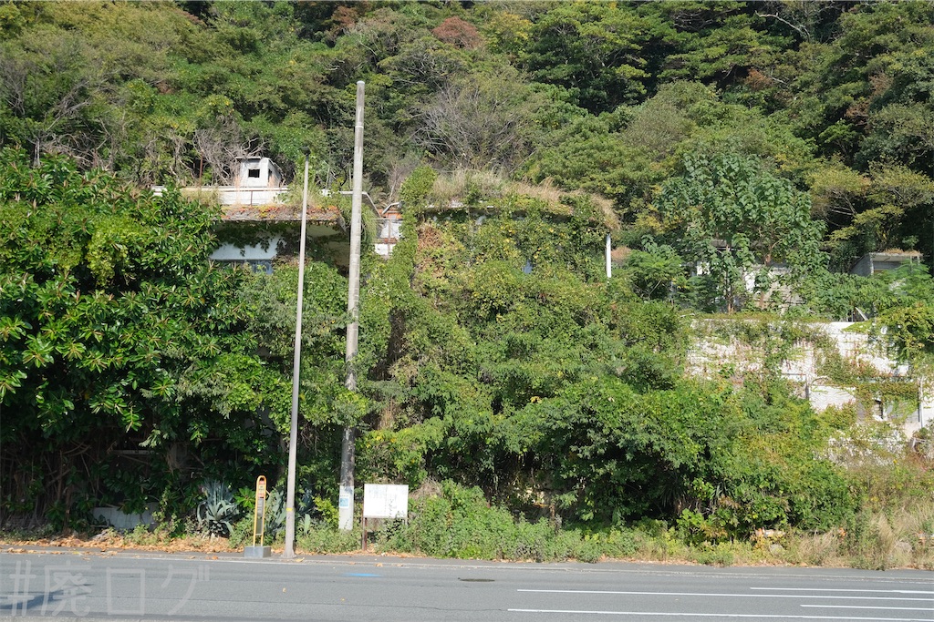 f:id:hiyapa:20240104132806j:image