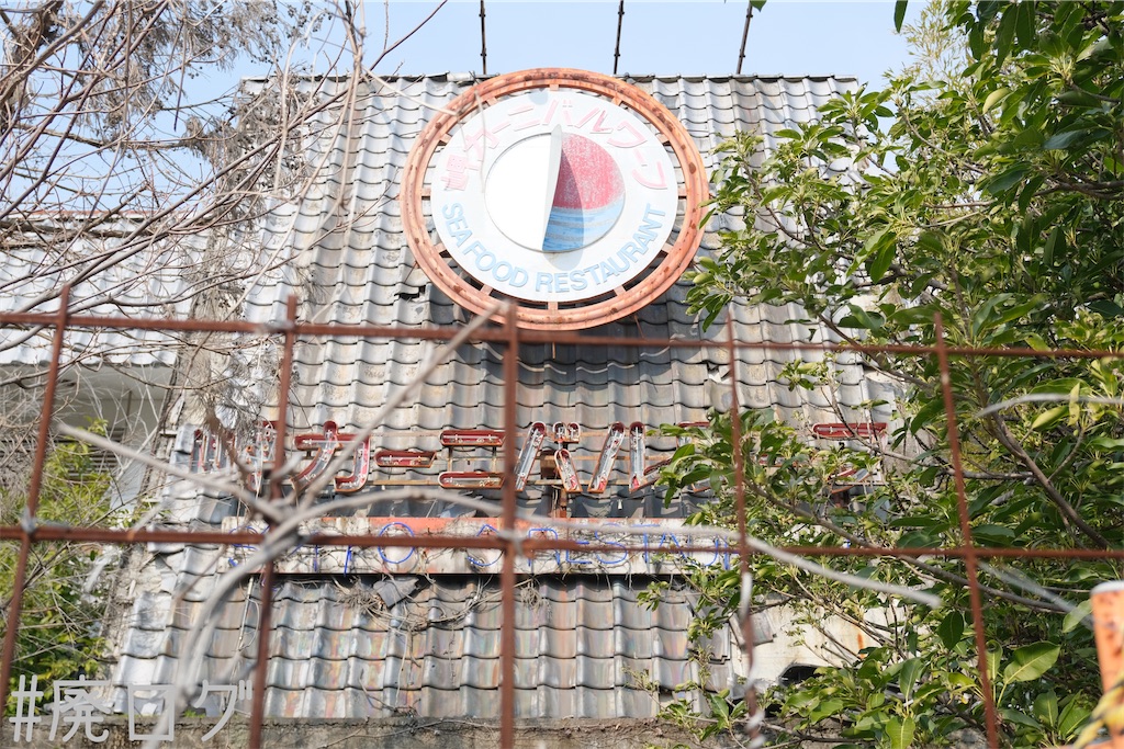 f:id:hiyapa:20240219192524j:image