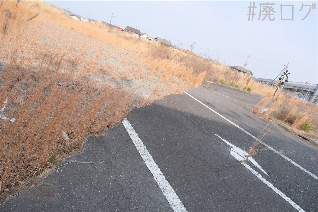 f:id:hiyapa:20240301220417j:image