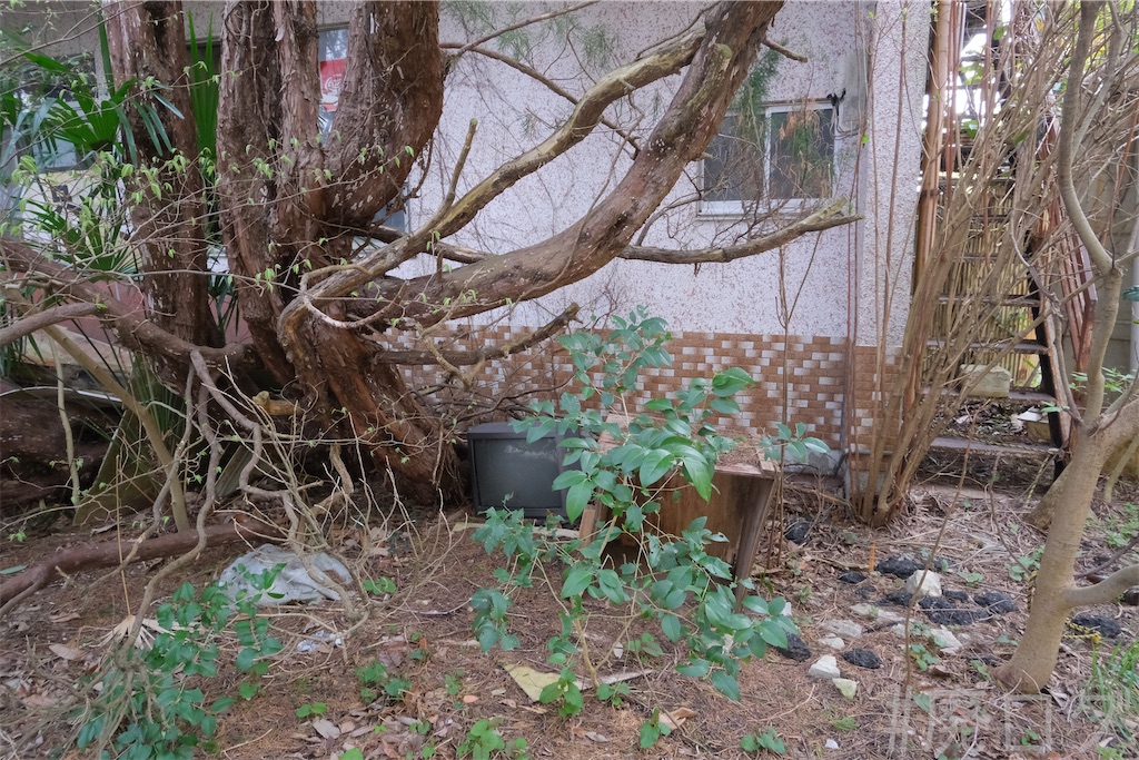 f:id:hiyapa:20240422202357j:image