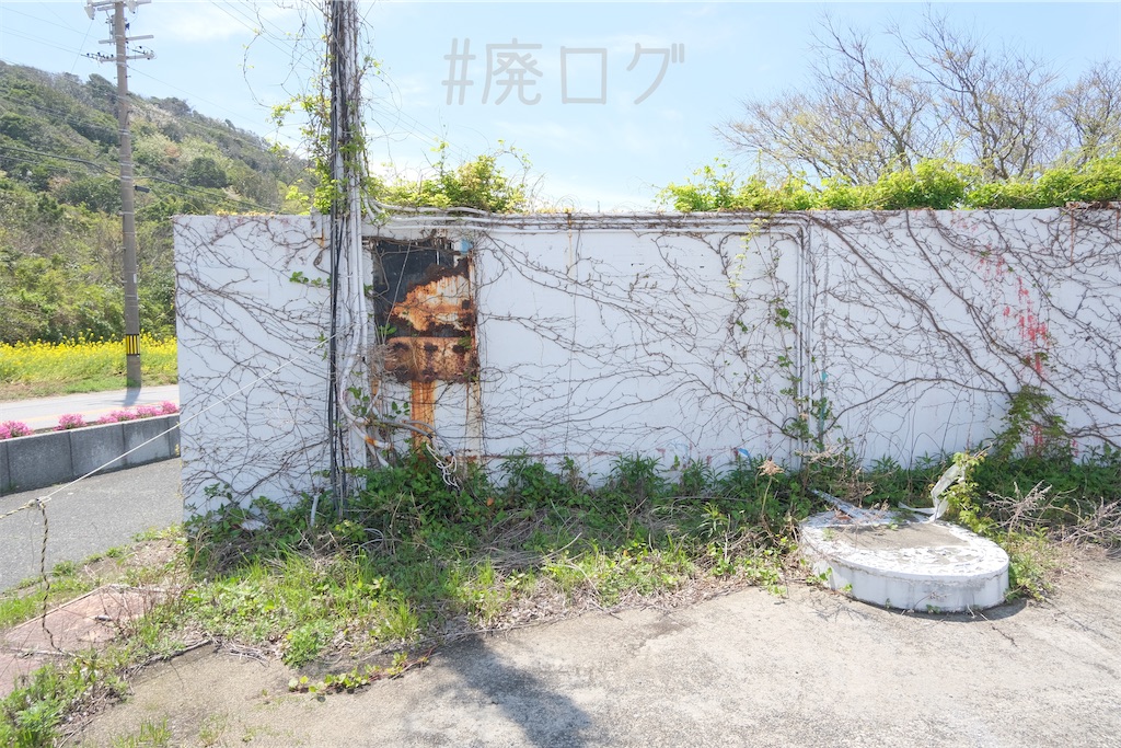 f:id:hiyapa:20240426083435j:image