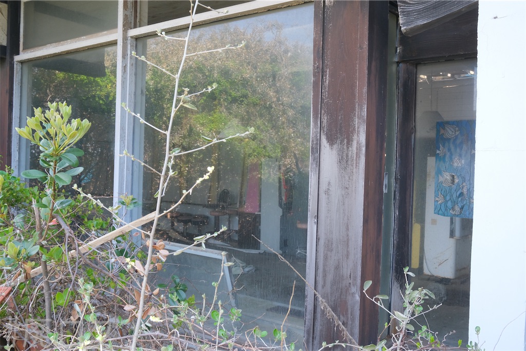 f:id:hiyapa:20240427112711j:image