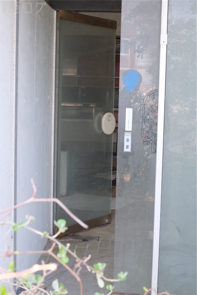 f:id:hiyapa:20240427112725j:image