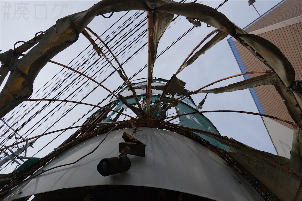 f:id:hiyapa:20240514200529j:image f:id:hiyapa:20240514200529j:image