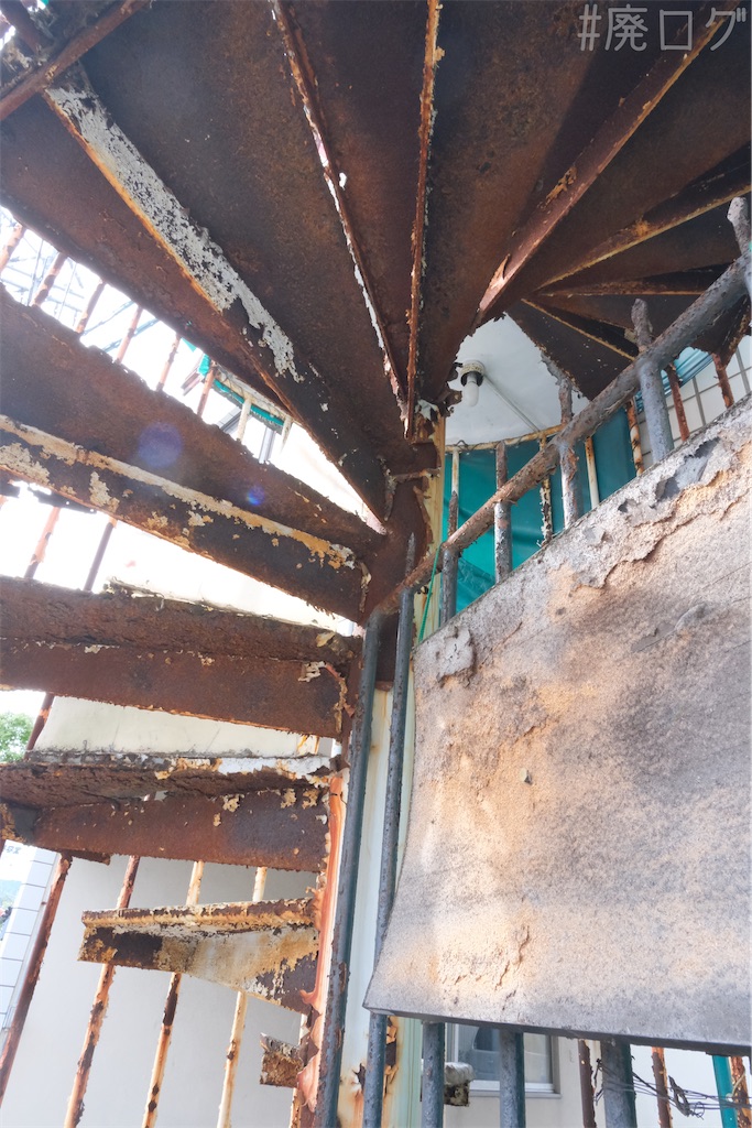 f:id:hiyapa:20240514200533j:image f:id:hiyapa:20240514200533j:image