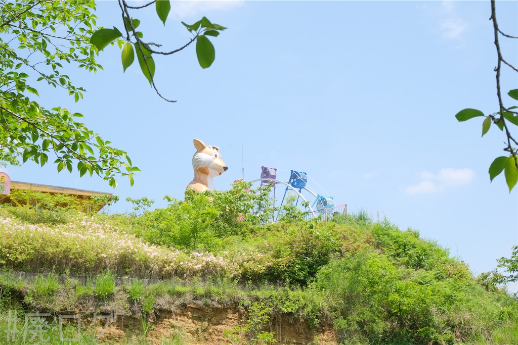 f:id:hiyapa:20240515123722j:image f:id:hiyapa:20240515123722j:image