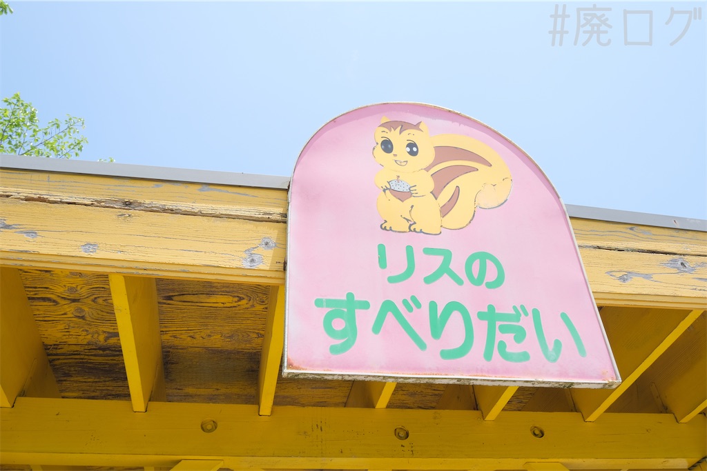 f:id:hiyapa:20240515123737j:image f:id:hiyapa:20240515123737j:image