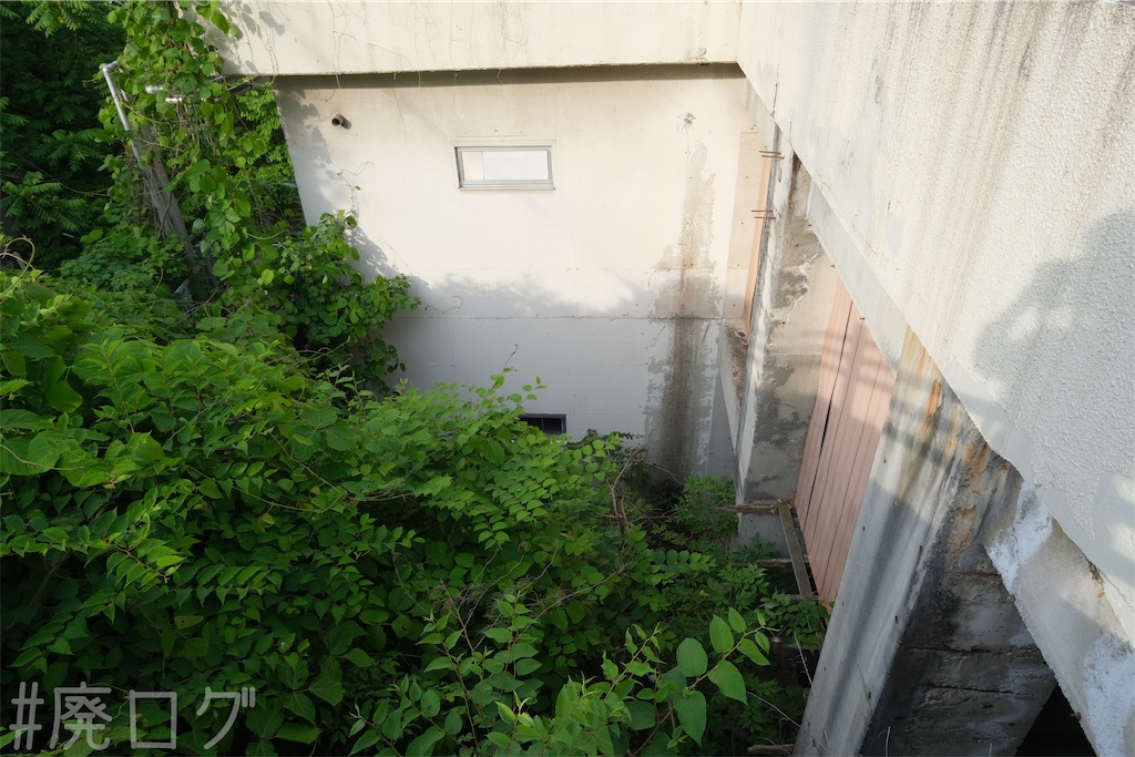 f:id:hiyapa:20240622183111j:image f:id:hiyapa:20240622183111j:image