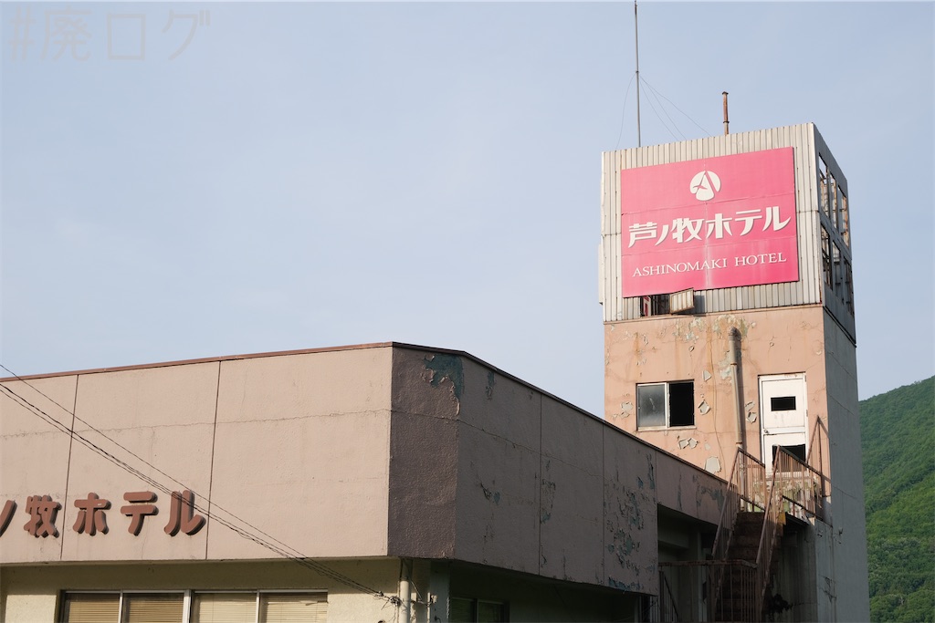 f:id:hiyapa:20240622183151j:image f:id:hiyapa:20240622183151j:image