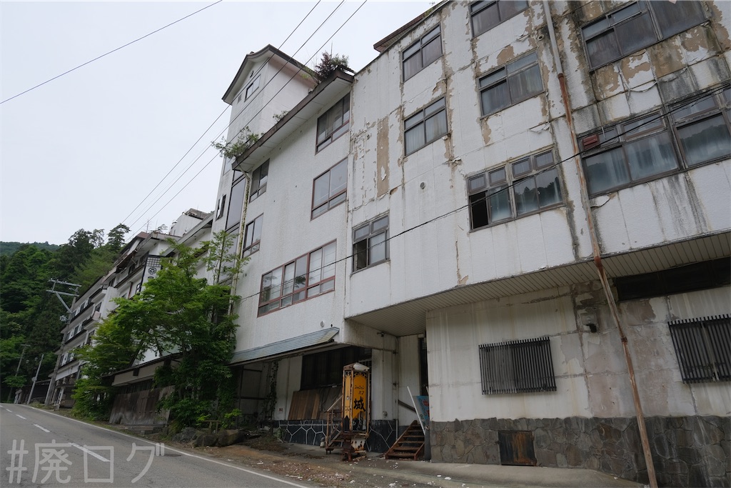 f:id:hiyapa:20240710083926j:image