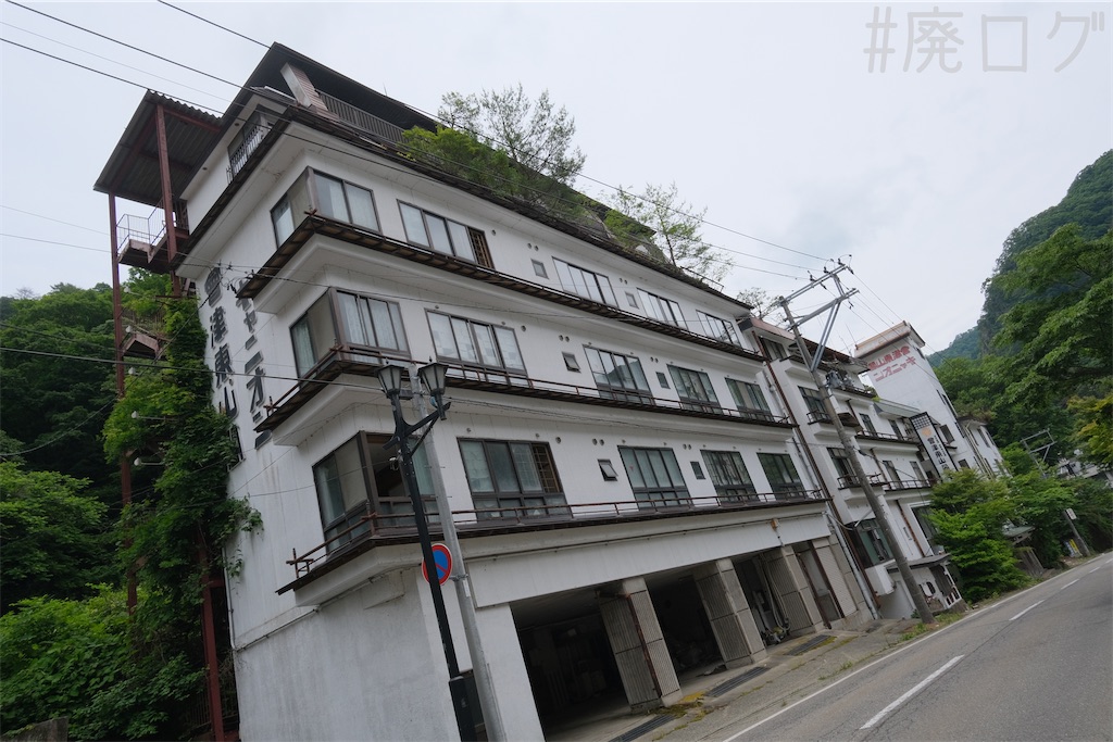 f:id:hiyapa:20240710083933j:image