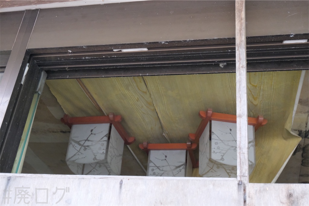 f:id:hiyapa:20240710145518j:image