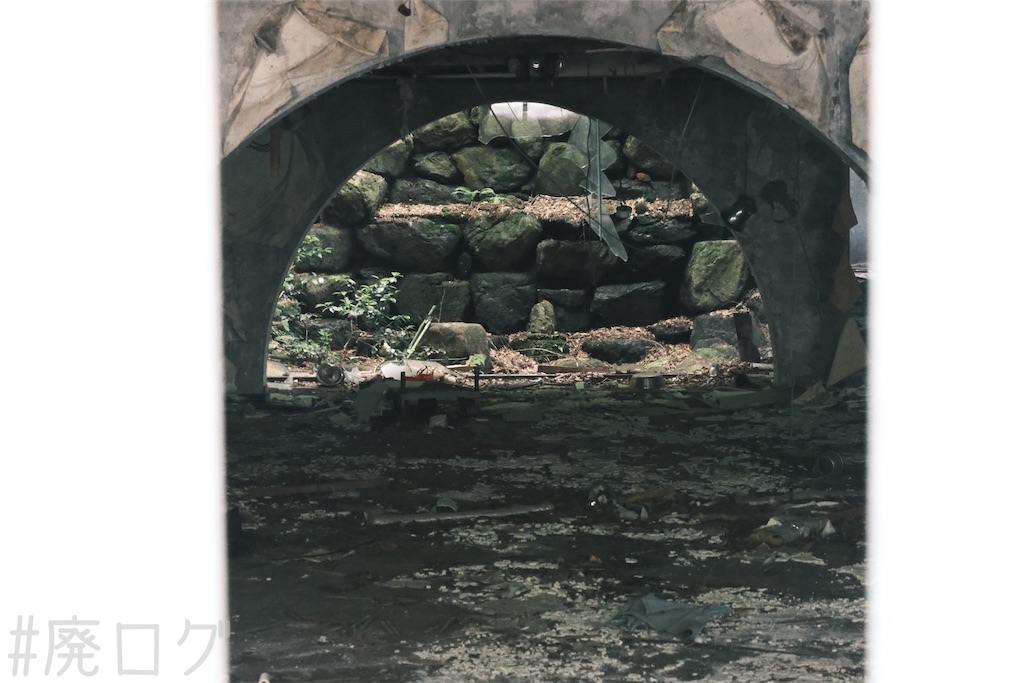 f:id:hiyapa:20240710145520j:image