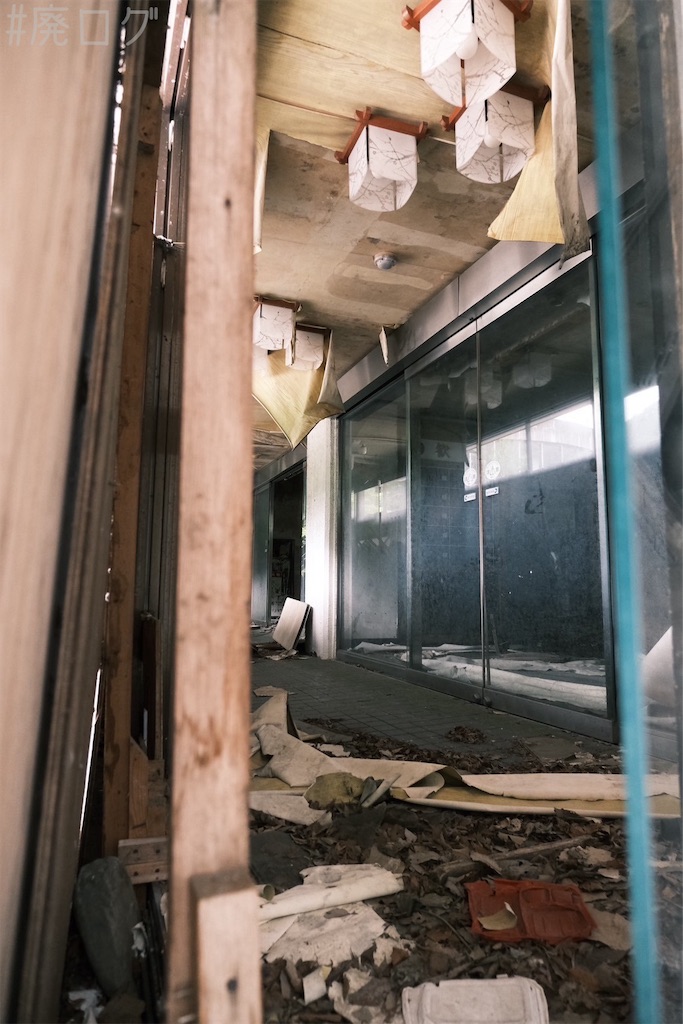 f:id:hiyapa:20240710145523j:image