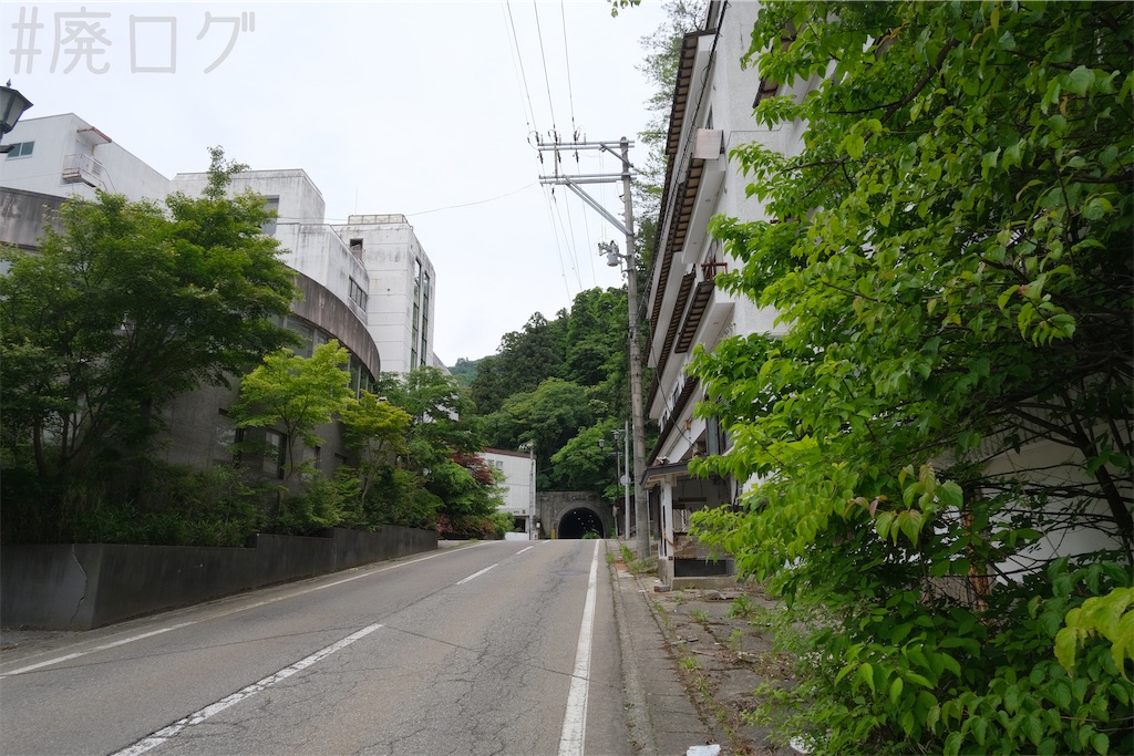 f:id:hiyapa:20240710195314j:image