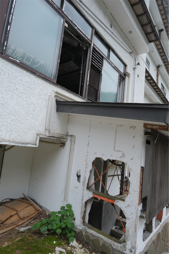 f:id:hiyapa:20240710195321j:image