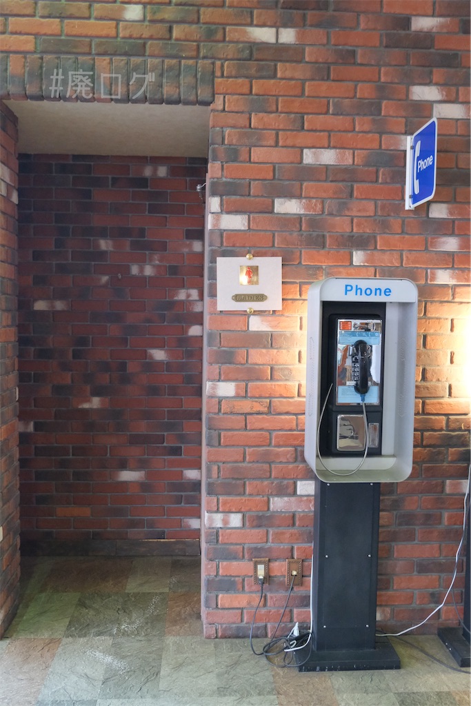 f:id:hiyapa:20240728200015j:image