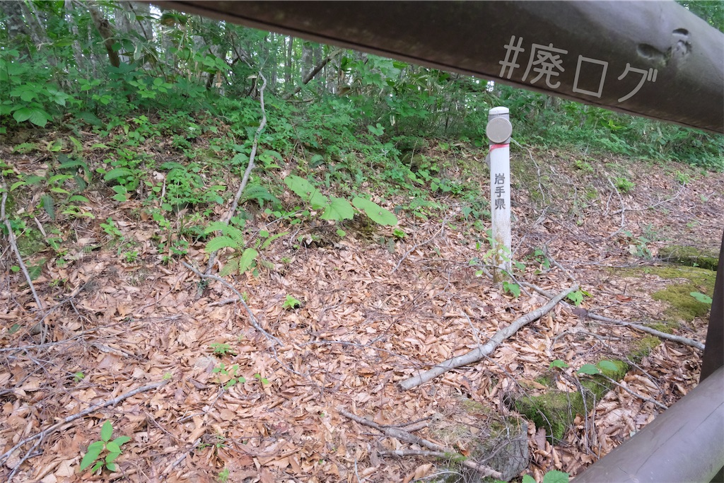 f:id:hiyapa:20240728203218j:image