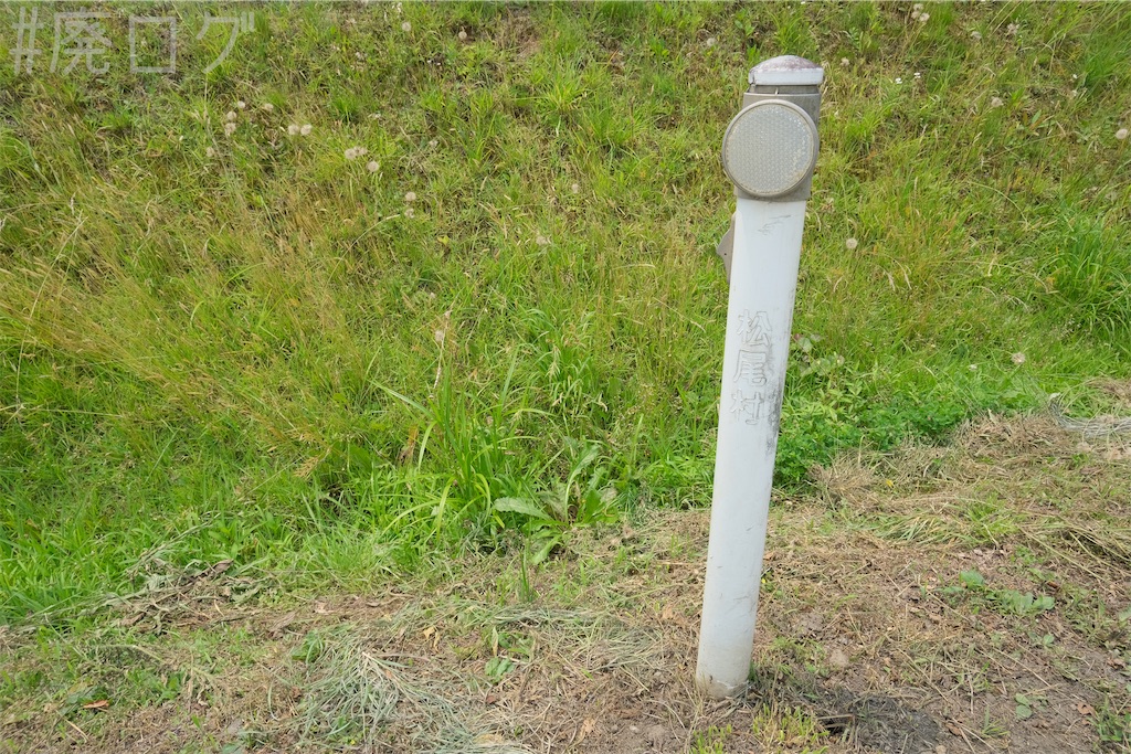 f:id:hiyapa:20240728203230j:image